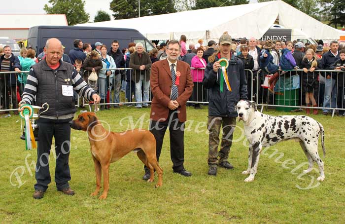 Dennis Boyd, Cloonacool, Co Sligo (on left) pictured at Bonniconlon 61st Agricultural Show and Gymkhana with his Rhodesian Ridgeback, Champion dog of Bonniconlon Show, with Dr Gerard Fleming, Galway (Judge) and  Ivan Andrews, Castlerea with the Reserve Champion "Harley" a Harlequin Great Dane . Photo: © Michael Donnelly