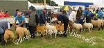 Stiff competition at Bonniconlon 61st Agricultural Show and Gymkhana Photo: © Michael Donnelly