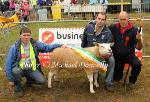 Ronan Gallagher, Enniscrone Co Sligo pictured with his Texel Ewe - Champion Sheep of Bonniconlon 61st Agricultural Show and Gymkhana and All-Ireland Purebred Ewe Champion, sponsored by Ballina Business Supplies, included in photo are Martin Greavy, Steward and Neville Myles, (Judge) Ballyshannon, Co Donegal. Photo: © Michael Donnelly