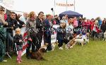 Section of the large entry at Bonniconlon 61st Agricultural Show and Gymkhana. Photo: © Michael Donnelly