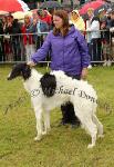 Donna Andrews, Castlerea pictured at Bonniconlon 61st Agricultural Show and Gymkhana with her year old Borzoi (also called the Russian wolfhound) Donna got 2nd in competition for Best Lady Handler. Photo: © Michael Donnelly 
