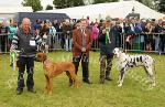 Dennis Boyd, Cloonacool, Co Sligo (on left) pictured at Bonniconlon 61st Agricultural Show and Gymkhana with his Rhodesian Ridgeback, Champion dog of Bonniconlon Show, with Dr Gerard Fleming, Galway (Judge) and  Ivan Andrews, Castlerea with the Reserve Champion "Harley" a Harlequin Great Dane . Photo: © Michael Donnelly