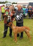Dr Gerard Fleming Galway (Judge)  presents the Ballina Printing Company Cup to Dennis Boyd, Cloonacool Co Sligo pictured  with his Rhodesian Ridgeback  Champion Dog of  Bonniconlon 61st Agricultural Show and Gymkhana. Photo: © Michael Donnelly