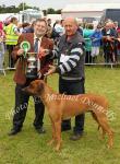 Dr Gerard Fleming Galway (Judge) presents the Ballina Printing Company Cup to Dennis Boyd, Cloonacool Co Sligo pictured with his Rhodesian Ridgeback Champion Dog of Bonniconlon 61st Agricultural Show and Gymkhana. Photo: © Michael Donnelly