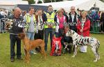 Dennis Boyd, Cloonacool Co Sligo pictured  with The Ballina Printing Cup and his Rhodesian Ridgeback, Champion Dog of  Bonniconlon 61st Agricultural Show included in photo are Deirdre Devine, Dr Gerard Fleming, (Galway) Judge, Ciaran Devine, Barbara Meer, Seamus Devine,  and Kay Devine; at front  Ivan Andrews, Castlerea with the Reserve Champion "Harley" a Harlequin Great Dane. Photo: © Michael Donnelly 
