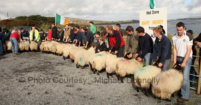 Judging the Ewe Lamb (confined) class at the 21st Achill Sheep Show Taispentas Caorach Acla 2007 at Pattens Bar, Derreens Achill. Photo:  Michael Donnelly