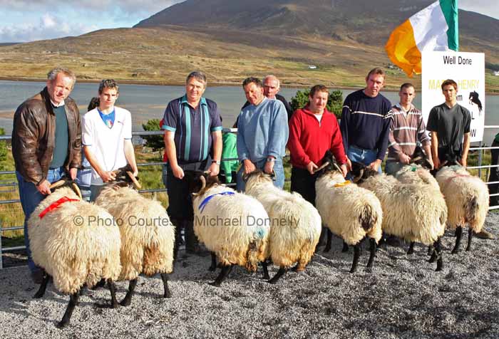 Winners of the Pen of 2 Aged Sheep (Open) at the 21st Achill Sheep Show (Taispentas Caorach Acla 2007) at Pattens Bar, Derreens Achill were from left 1st Pat Vesey assisted by Michael Davitt, The Valley; 2nd Padraic O'Malley assisted by Tom Davitt; 3rd John Nolan and Pat Chambers and 4th Mark Davitt and Paul Davitt. Photo:  Michael Donnelly