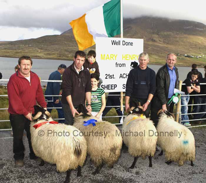 Winners of the  Ram  Lamb (Open) class at the 21st Achill Sheep Show (Taispentas Caorach Acla 2007) at Pattens Bar, Derreens Achill were 1st John Nolan, Newport; 2nd Sean and Rachel  McManamon; James Ryder and 4th Padraic O'Malley. Photo:  Michael Donnelly 