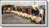 Judging the Ewe Lamb (confined) class at the 21st Achill Sheep Show Taispentas Caorach Acla 2007 at Pattens Bar, Derreens Achill. Photo:  Michael Donnelly