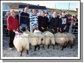 Winners of the Pen of 2 Ewe Lambs class (Open) at the 21st Achill Sheep Show (Taispentas Caorach Acla 2007) at Pattens Bar, Derreens Achill was from left John Nolan, Newport (assisted by Pat Chambers); 2nd Pat and Tom Muchrone and 3rd Martin McGlynn, assisted by Thomas McLoughlin. Photo:  Michael Donnelly