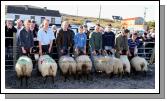 Winners of the Pen of 2 Ewe Lambs class (Confined) at the 21st Achill Sheep Show (Taispentas Caorach Acla 2007) at Pattens Bar, Derreens Achill was from left 1st Liam and Thomas Gallagher Dookinella;  2nd Pat Vesey and Michael Davitt; 3rd Michael Tommy Gallagher  Currane and Diarmuid O'Mallley; 4th Sean Corrigan and Kevin Lavelle Currane. Photo:  Michael Donnelly
