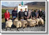 Winners of the Pen of 2 Hogget Ewes class (Open) at the 21st Achill Sheep Show (Taispentas Caorach Acla 2007) at Pattens Bar, Derreens Achill were from left; 1st John Nolan Newport and Pat Chambers (assisting); 2nd Martin McGlynn and Thomas McLoughlin; 3rd Mark and Paul Davitt, Saula and 4th was John Dyra Newpoort and Paddy Sheridan. Photo:  Michael Donnelly