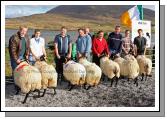 Winners of the Pen of 2 Aged Sheep (Open) at the 21st Achill Sheep Show (Taispentas Caorach Acla 2007) at Pattens Bar, Derreens Achill were from left 1st Pat Vesey assisted by Michael Davitt, The Valley; 2nd Padraic O'Malley assisted by Tom Davitt; 3rd John Nolan and Pat Chambers and 4th Mark Davitt and Paul Davitt. Photo:  Michael Donnelly
