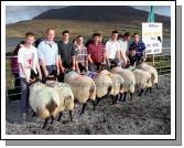 Winners of the Pen of 2 Aged Sheep (Confined) at the 21st Achill Sheep Show (Taispentas Caorach Acla 2007) at Pattens Bar, Derreens Achill were from left 1st Finbarr and Thomas Gallagher; 2nd Mark Gallagher and Paul Davitt; 3rd Andrew Dever and Steve O'Malley and 4th Peter and Peter (jnr) O'Malley and Martin Calvey. Photo:  Michael Donnelly