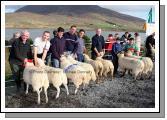 John and Edward Fadian had best Pen of 2 Crossbred Ewes (Open) at the 21st Achill Sheep Show (Taispentas Caorach Acla 2007) at Pattens Bar, Derreens Achill. 2nd was Padraic Lydon Newport assisted by Pat Chambers; 3rd John Dyra  Newport and James Ryder; and 4th  Sean and Lee Mooney. Photo:  Michael Donnelly