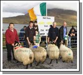 Winners of the  Ram  Lamb (Open) class at the 21st Achill Sheep Show (Taispentas Caorach Acla 2007) at Pattens Bar, Derreens Achill were 1st John Nolan, Newport; 2nd Sean and Rachel  McManamon; James Ryder and 4th Padraic O'Malley. Photo:  Michael Donnelly 