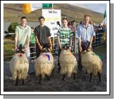 Stephen Grealis, Currane, Achill had the  Best Ram Lamb (Confined) at the 21st Achill Sheep Show (Taispentas Caorach Acla 2007) at Pattens Bar Derreeens Achill, 2nd was Mark Davitt, 3rd Padraig Gallagher and 4th Thomas Gallagher. Photo:  Michael Donnelly
