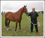 Luke Gibbons, Carrowkilleen, Claremorris, pictured with the Best 2 year old (Class 32) at the 88th Claremorris Agricultural Show. Photo:  Michael Donnelly

