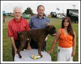 Evans Boland, from Aclare Co Sligo with Tyson,  Reserve Champion Dog at the 88th Claremorris Agricultural Show, included on left is Johnny Farragher Steward and Marie Mullen, Roscommon, (judge). Photo:  Michael Donnelly.
 
