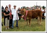 Anne Hanley, Western Hotel, Claremorris presents Gareth Behan, Ballyfin Portlaoise with Champion Heifer rosette in the All Ireland Pedigree Suckler Type Heifer championship sponsored by the Western Hotel, Claremorris, included in photo is Michael Fox, (cattle judge) Tullamore. Photo:  Michael Donnelly