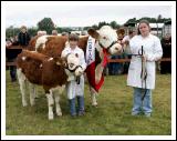 The Champion Simmental at the 88th Claremorris Agricultural Show, was won by Martin Regan Cloonfad, shown by from left:  Maeve and Jacintha Regan. Photo:  Michael Donnelly

