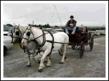 Horse Drawn Carriage at the 88th Claremorris Agricultural Show. Pic Michael Donnelly.