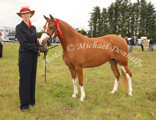 Una Gillavary, Headford, (Sweeney, Newport Rd Castlebar) pictured with Antiga April, winner of the Pony Mare/ Gelding 128 cm shown in Hand at Claremorris Agricultural Show.  Photo:  Michael Donnelly