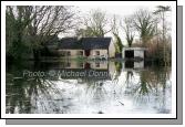 Isolated on the Neale Rd Ballinrobe, Photo:  Michael Donnelly