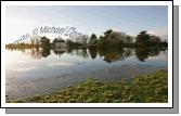 A lot of Water on the Neale Rd Ballinrobe,
Photo:  Michael Donnelly