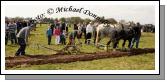 Gerry Reilly, Claregalway guides the Plough and  Pat Quinn Corofin  leads the horses while James Kilgarriff Headford lends a hand at the 2009 Mayo County Ploughing Championships at Claremorris.Photo:  Michael Donnelly