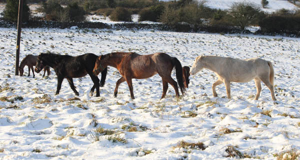 Does a certain TV advert come to mind?
Photo:  Michael Donnelly