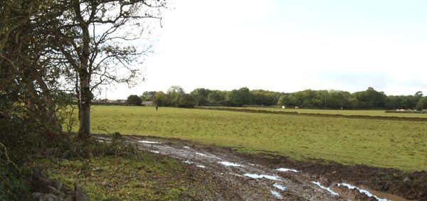 Some of the land that has been subject to severe flooding at the Thomastown Turlough Kilmaine. Photo:  Michael Donnelly