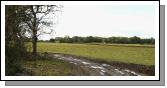 Some of the land that has been subject to severe flooding at the Thomastown Turlough Kilmaine. Photo:  Michael Donnelly