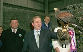 The Eagle Has Landed and the count begins! Michael Donnelly looks back over the election campaigns of some of the Mayo candidates. Click photo for lots more.
