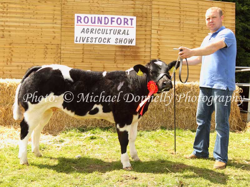 Derek Forde, Corrandulla Co Galway, with his 1st prize Belgian Blue Heifer born 2012 at Roundfort Agricultural Show. Photo: © Michael Donnelly Photography
