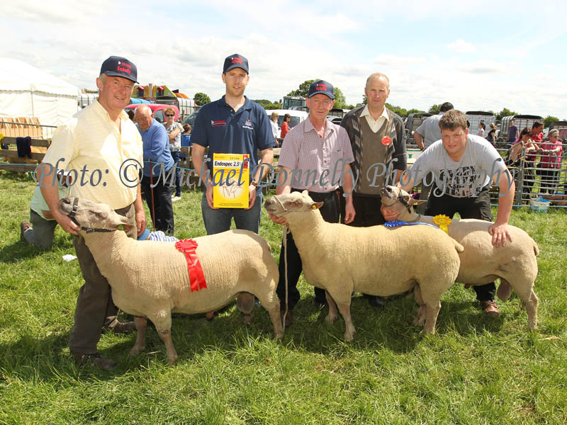 Winners of the Shearling (and up)  Pedigree  Charolais Ram class at Roundfort Agricultural Show from left Sonny Jennings, Cahergal Tuam 1st and 3rd. Andrew Glynn, of Bimeda (Sponsors) ; John Farrell, Strokestown, Co Roscoommon, 2nd; Tom Waldron, Tuam, Judge; and Eric Cunningham (Handler). Photo: © Michael Donnelly Photography