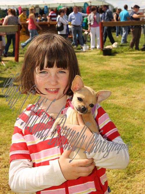 Elisha O'Malley, Headford  pictured with her Chihuahua puppy "Precious" at Roundfort Agricultural Show Photo: © Michael Donnelly Photography