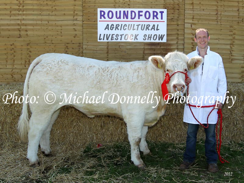 Noel Colgan, Clooneen, Bohola pictured at Roundfort Agricultural Show  with his prizewinning Pedigree Charolais Heifer any age. Photo: © Michael Donnelly Photography