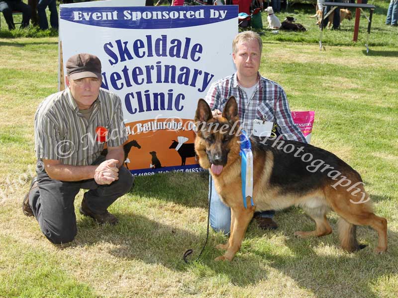 John Byrne, Brownsgrove Tuam pictured with his German Shepherd "Kane" - Reserve Champion Dog of Roundfort Agricultural Show, included in photo is Kevin Hannon, (Sligo) Judge. Photo: © Michael Donnelly Photography
