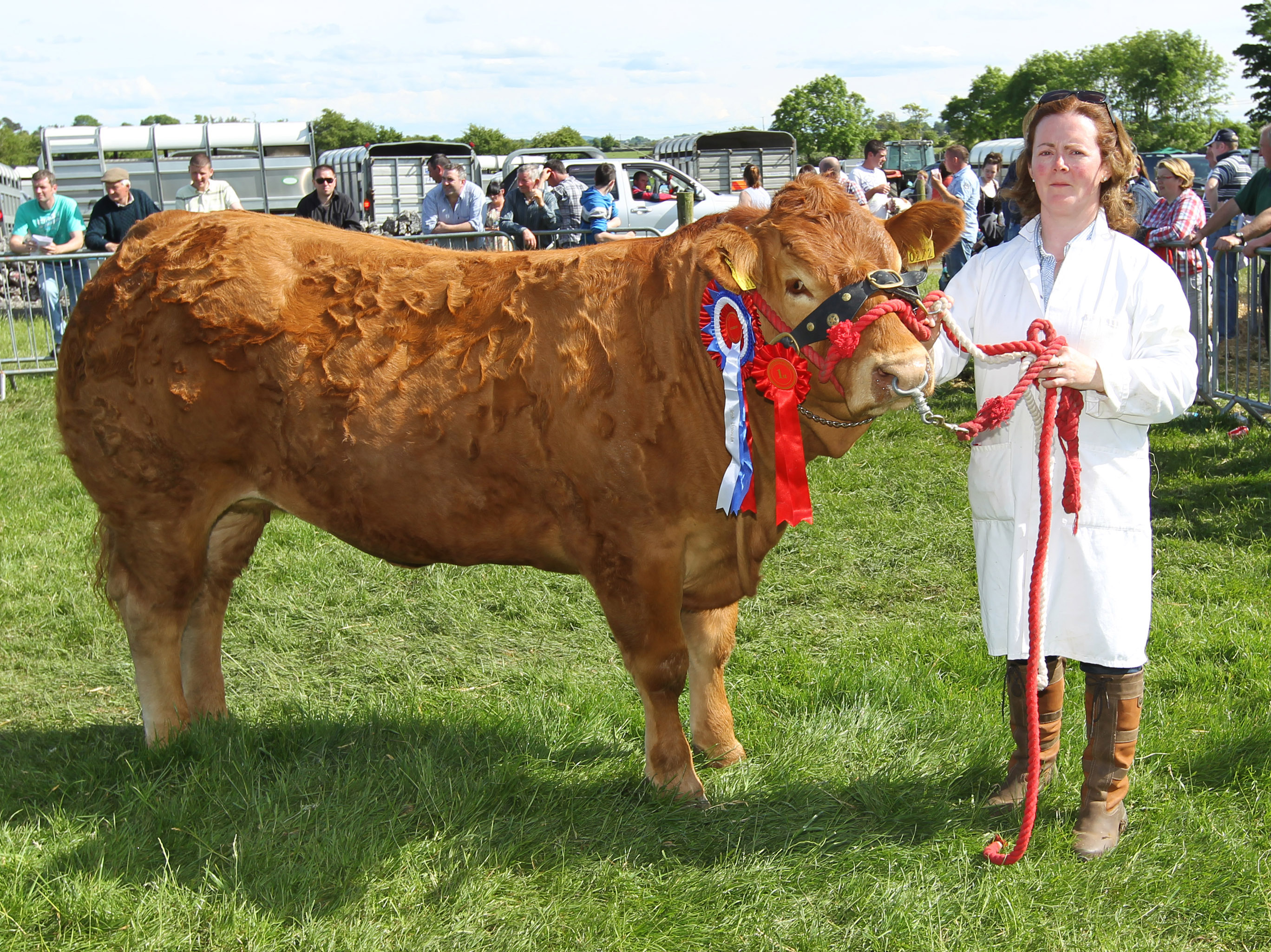  at Roundfort Agricultural Show. Photo: © Michael Donnelly Photography