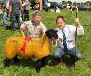 Gerry Killilea, Cregcaragh Claregalway, winner of the Suffolk Ewe Lamb class in the West of Ireland Registered Pedigree  Breeders Club at Roundfort Agricultural Show pictured with Martin Butler, (Judge) Dunshaughlin, Co. Meath. Photo: © Michael Donnelly Photography