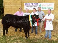 Demot Mullaney, Creggs Balla, Co Mayo (on right) won the "1300 Euro All Ireland Heifer Championship" sponsored by Connacht Gold and Roundfort Show at Roundfort Agricultural Show, pictured with from left: Ollie Connelly, Chairperson Roundfort Show, Michael Mullaney, Balla; Frank Judge, Mayo Abbey, and Joe Waldron, Connacht Gold (sponsors).  Photo: © Michael Donnelly Photography