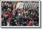 Mayo's goal by Pat Harte, sends up the flags in the 1st round of the Allianz National Football League between Mayo and Kerry, at McHale Park last Sunday. Photo:  Michael Donnelly