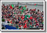 Mayo Supporters wave the flag  after Mayo add to the scoreboard at the ESB All Ireland Minor Football Final replay in Pearse Park, Longford.Photo:  Michael Donnelly