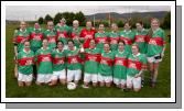  Kilmoremoy (Ballina/Ardnaree) who defeated Claremorris in the final of the Mayo ladies Senior Div 2  league at Foxford. Photo: Michael Donnnelly