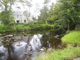 New photos every day from the West of Ireland