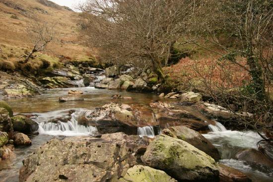 Bare trees on the banks of the river 