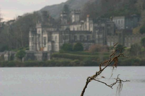 Kylemore Abbey as a backdrop to a forlorn wintry branch