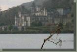 Kylemore Abbey as a backdrop to a forlorn wintry branch