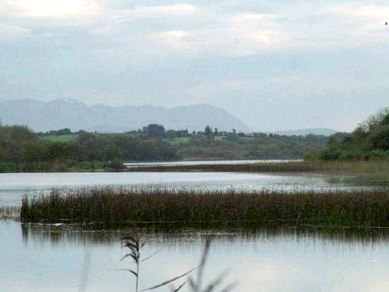 Lough Lannagh, Castlebar.